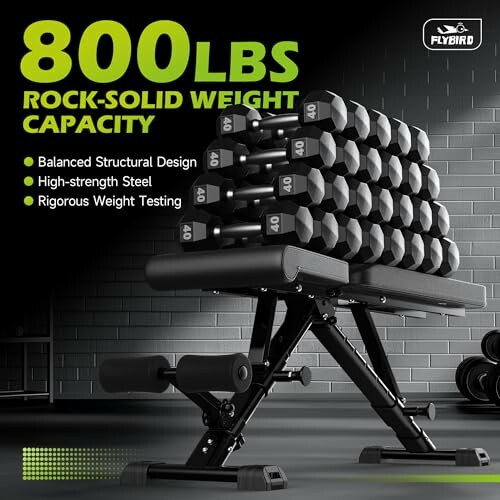 Adjustable weight bench with stacked dumbbells for 800 lbs capacity.