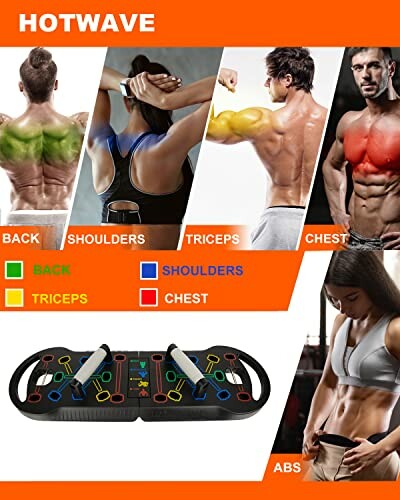 Fitness board with body workout focus areas: back, shoulders, triceps, chest, and abs.